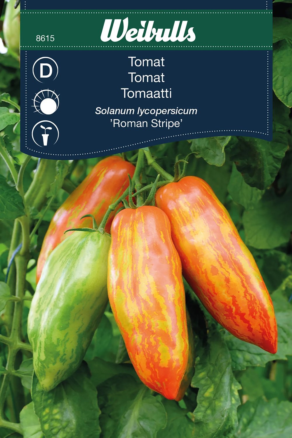 Produktbild på Plommontomat 'Roman Striped'