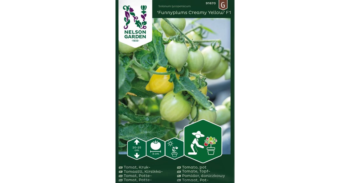 Körsbärstomat Funnyplums Creamy Yellow F1