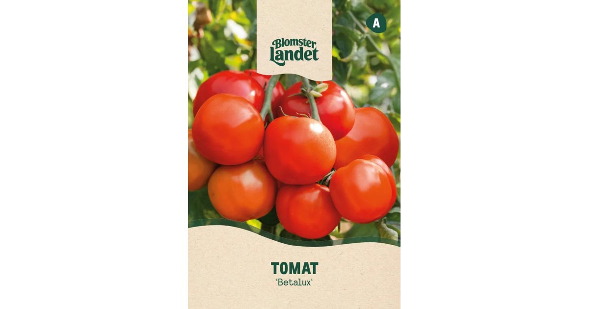 Tomat Betalux