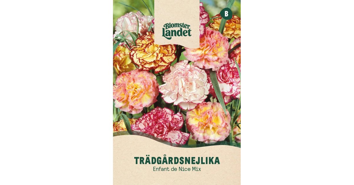 Trädgårdsnejlika Enfant De Nice Mix