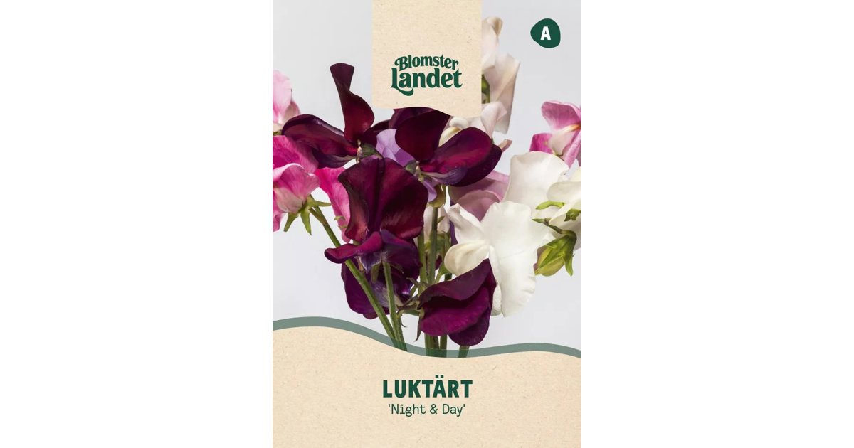 Luktärt Night & Day