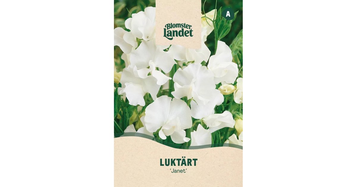 Luktärt Janet