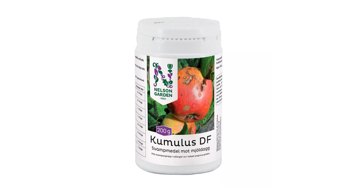 Kumulus