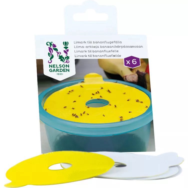 Limark Till Bananflugefälla