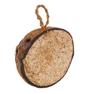 Produktbild på Halv kokosnöt Blomsterlandet