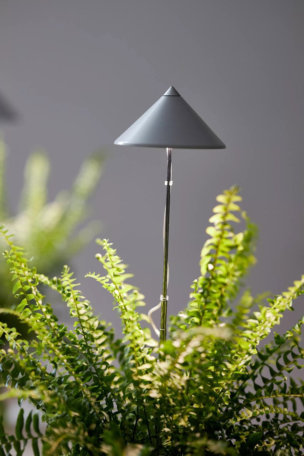Växtlampa Sunlite 7W