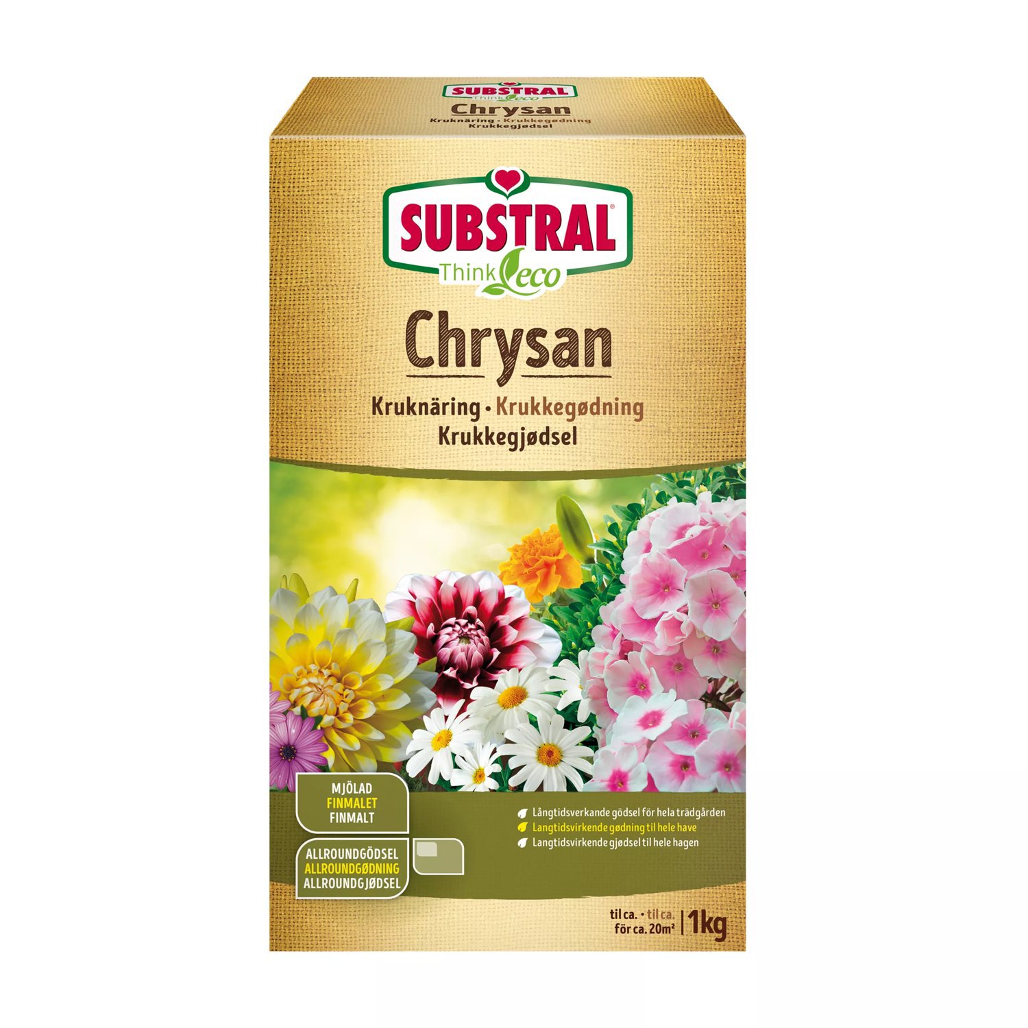 Chrysan Think Eco