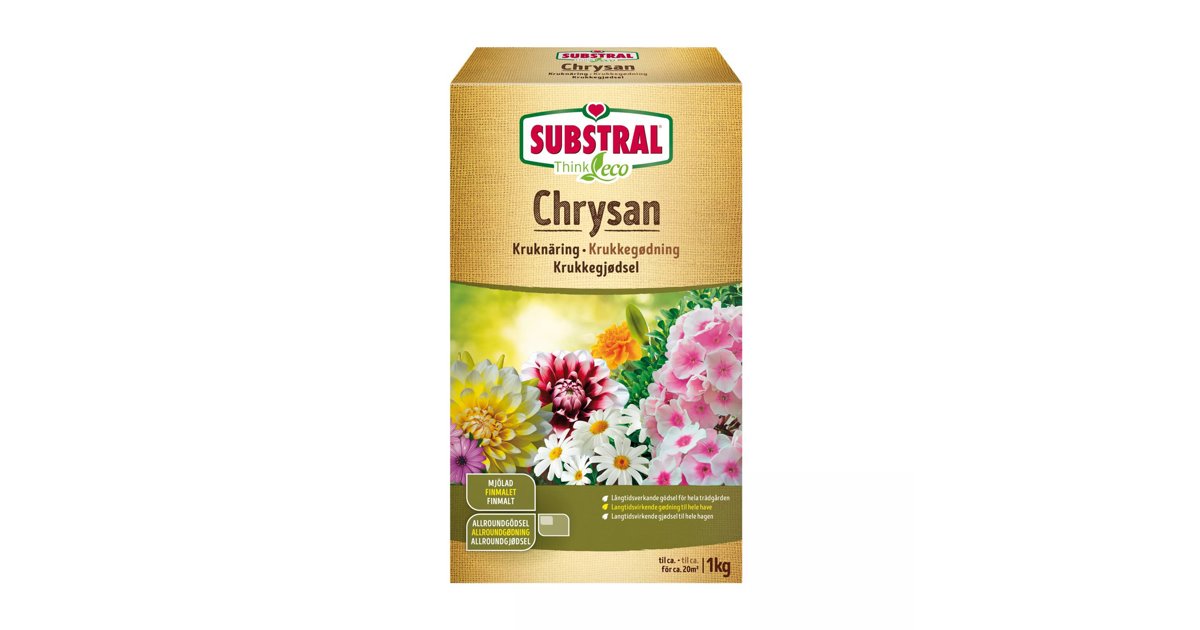 Chrysan Think Eco