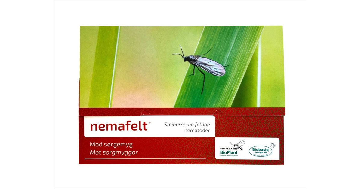 Nematoder Mot Sorgmyggor