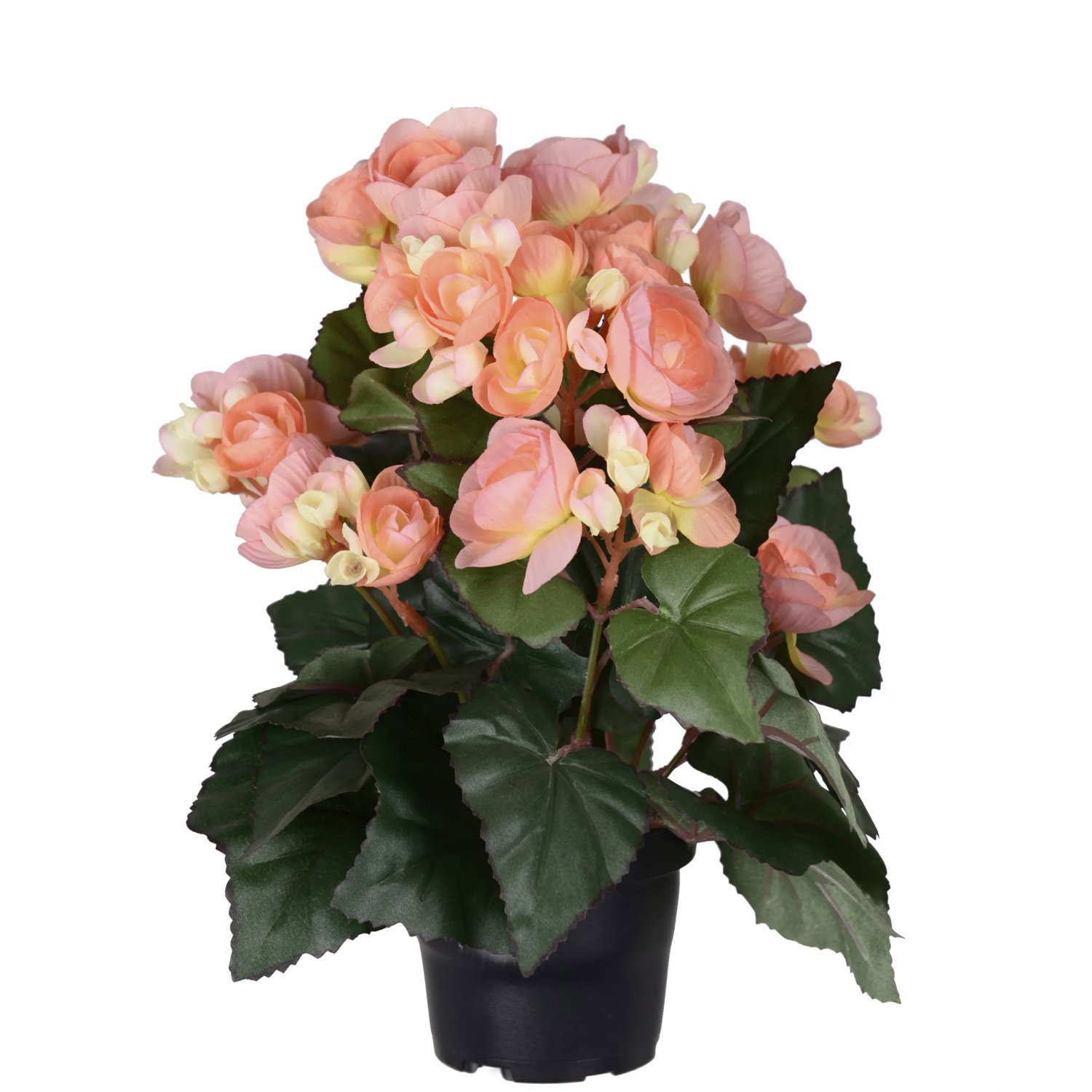 Produktbild på Begonia i kruka, konstgjord