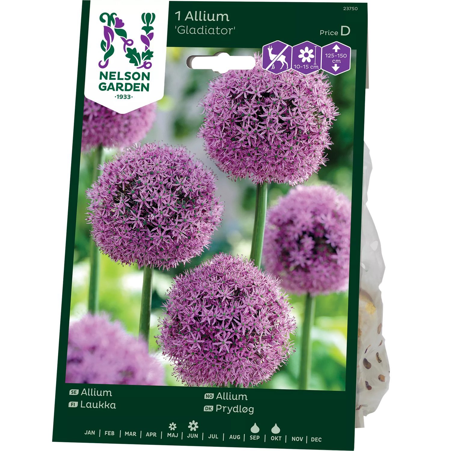 Produktbild på Allium 'Gladiator'