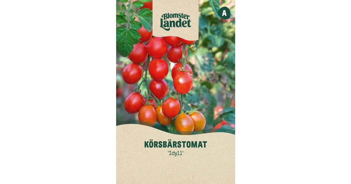 Körsbärstomat Idyll