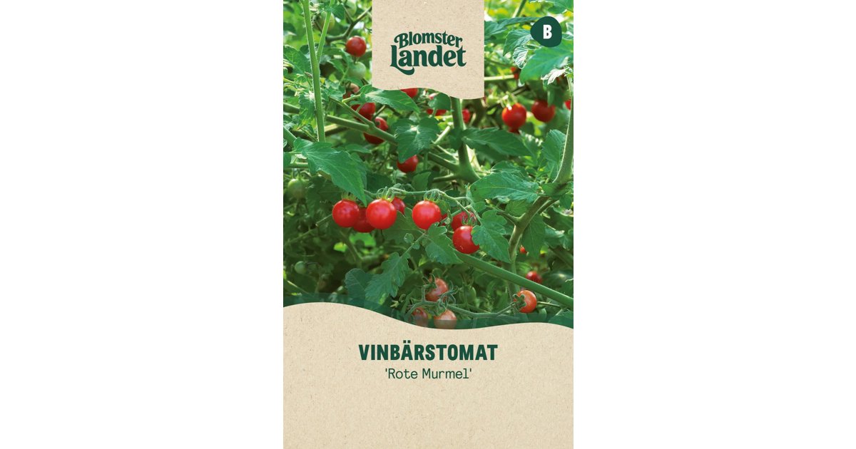 Vinbärstomat Rote Murmel