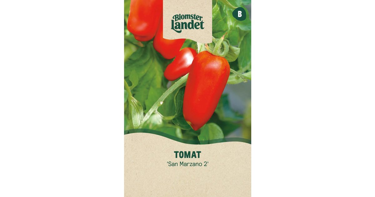 Tomat San Marzano 2