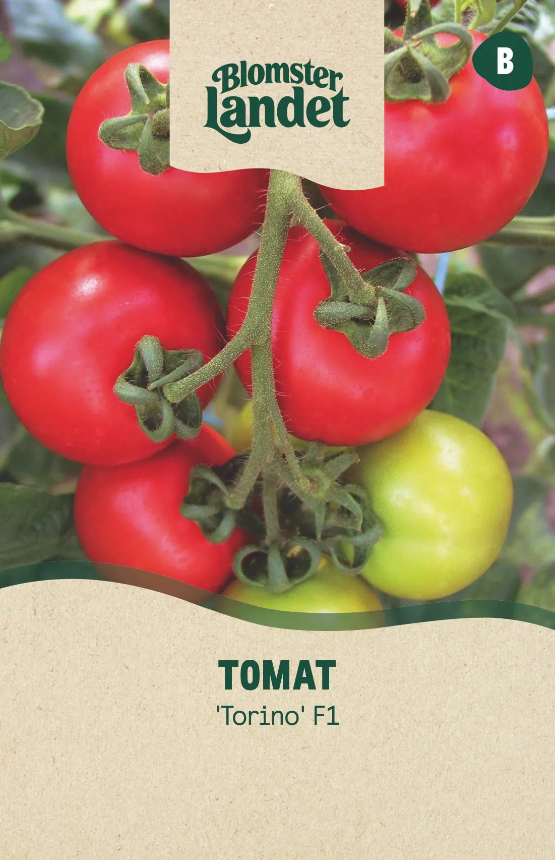 Tomat Torino F1
