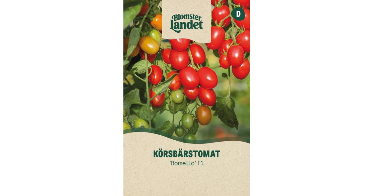 Körsbärstomat Romello F1