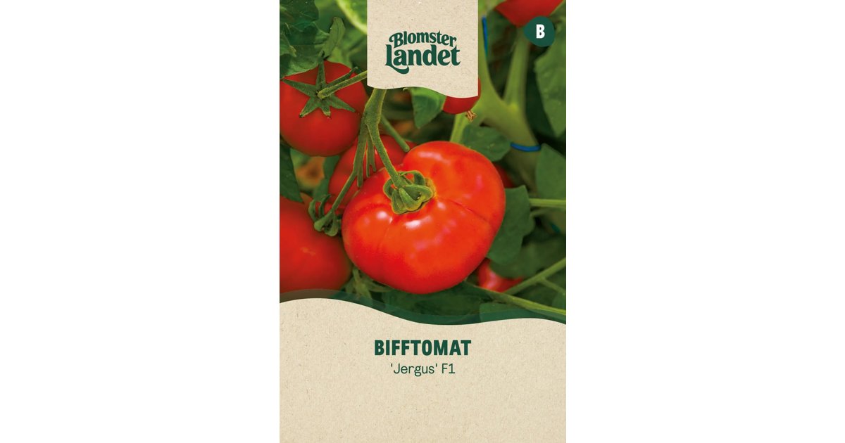 Bifftomat Jergus F1