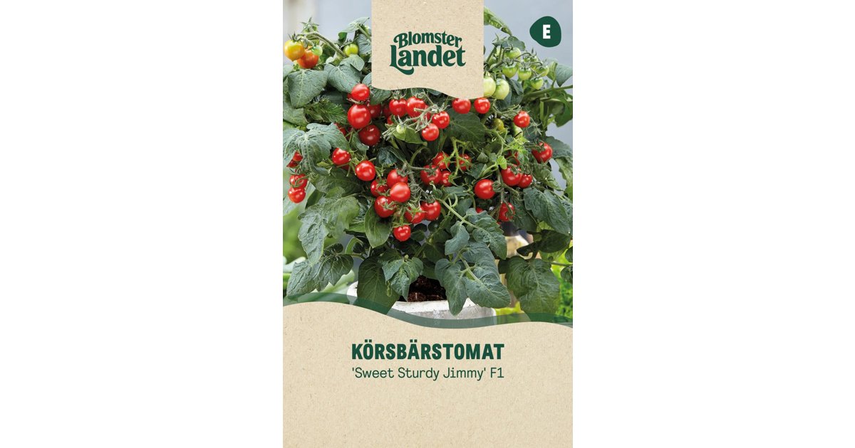 Körsbärstomat Sweet Sturdy Jimmy F1