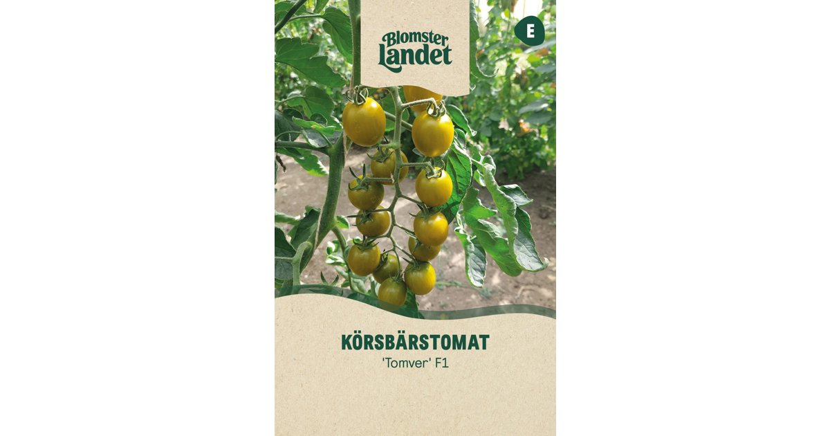 Körsbärstomat Tomver F1