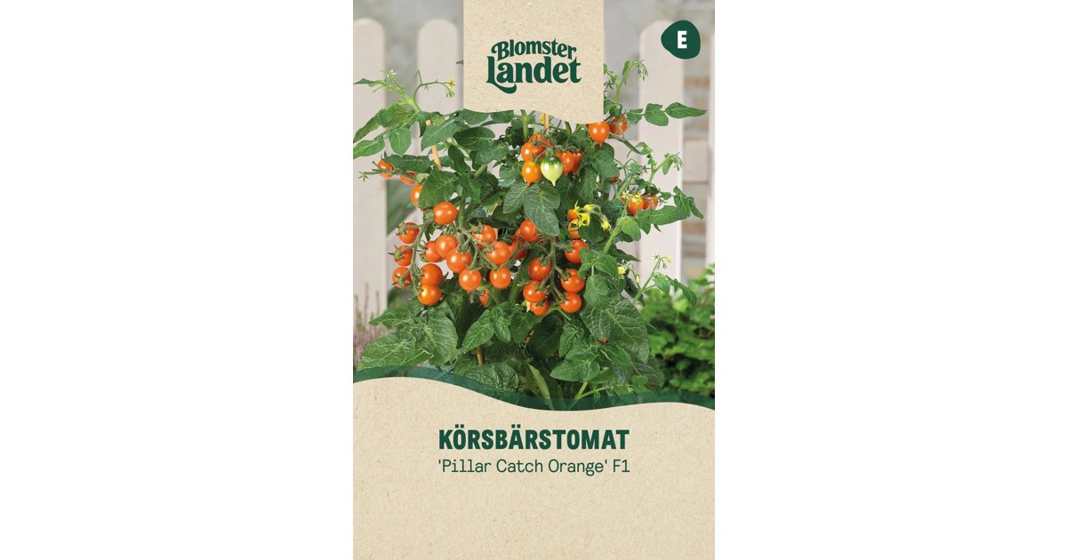 Körsbärstomat Pillar Catch Orange F1