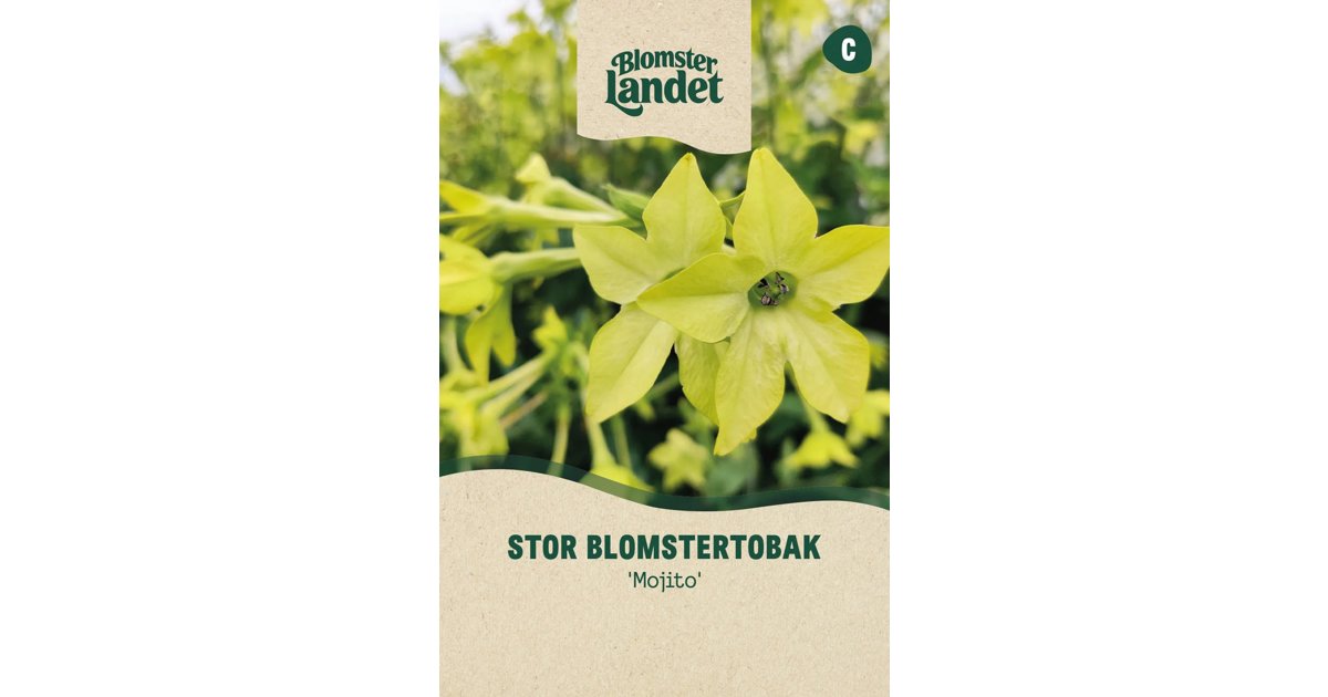 Blomstertobak Mojito