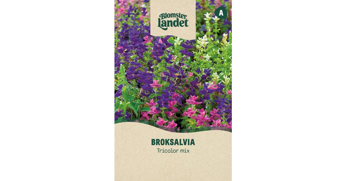 Broksalvia Tricolor Mix