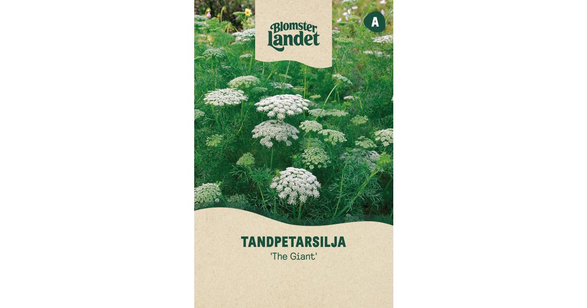 Tandpetarsilja The Giant