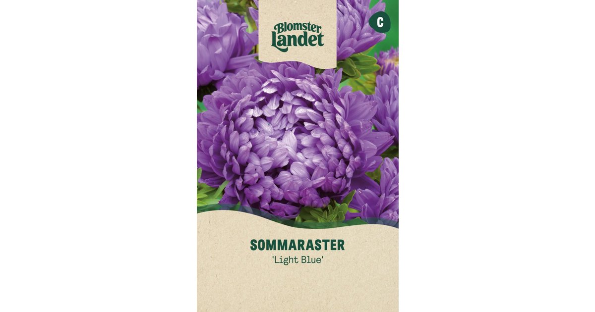 Sommaraster Light Blue