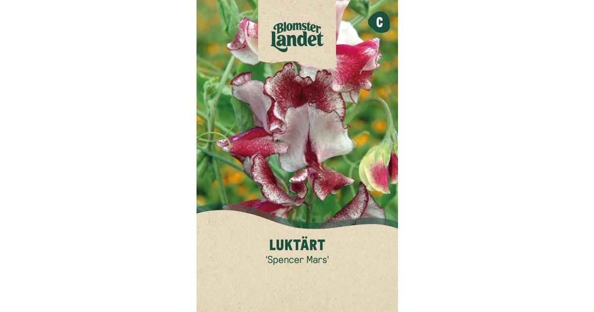 Luktärt Spencer Mars
