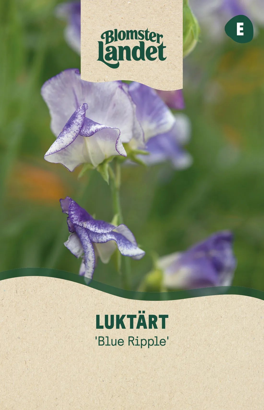 Luktärt Blue Ripple