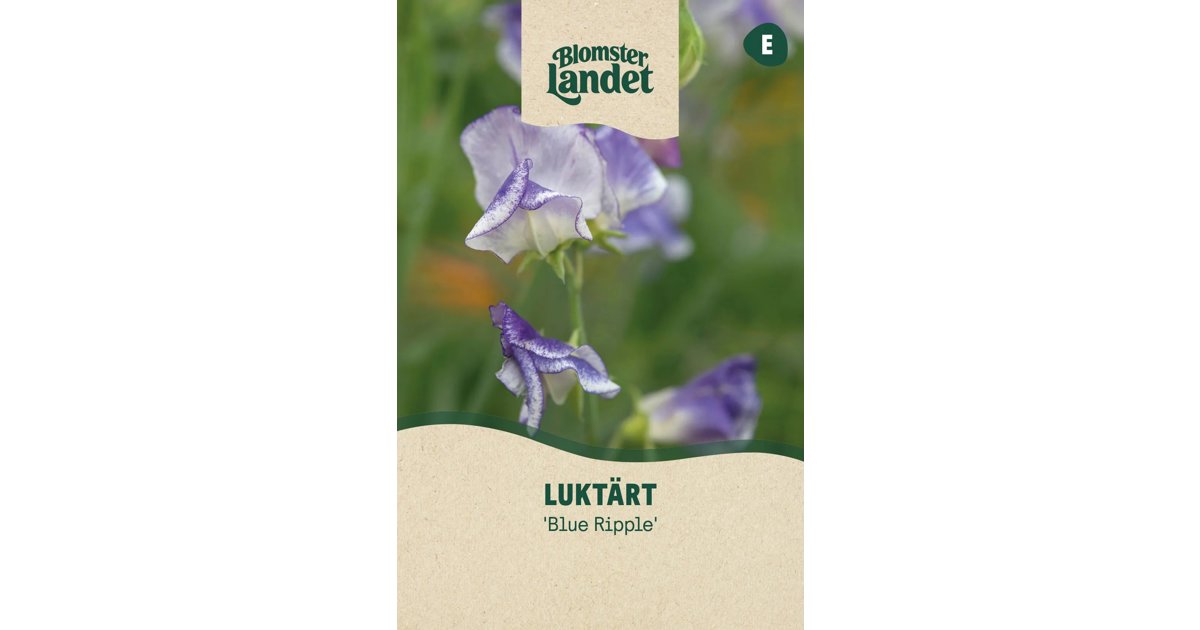 Luktärt Blue Ripple