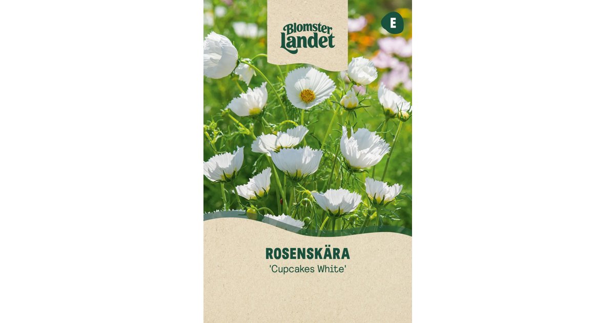 Rosenskära Cupcakes White