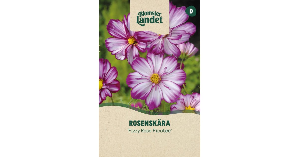 Rosenskära Fizzy Rose Picotee