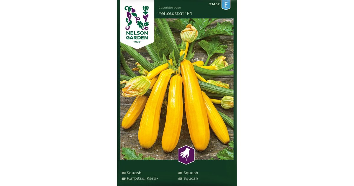 Squash Yellowstar F1