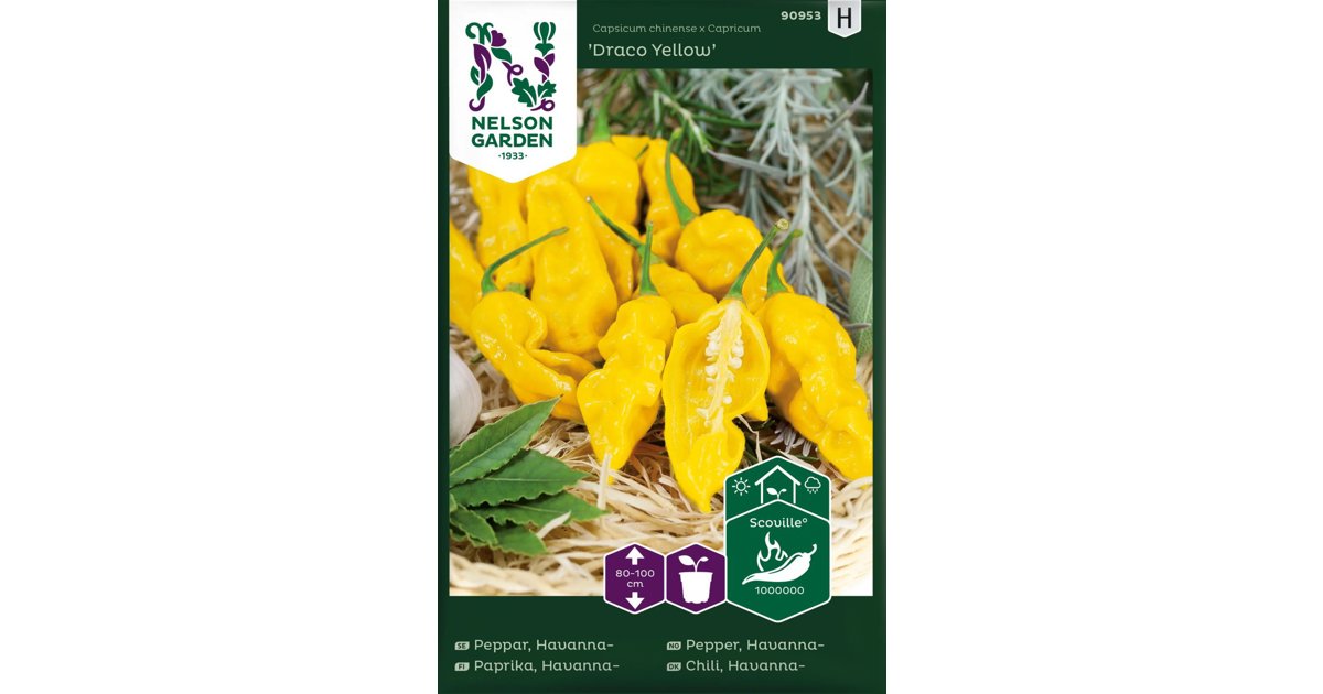 Havannapeppar Draco Yellow