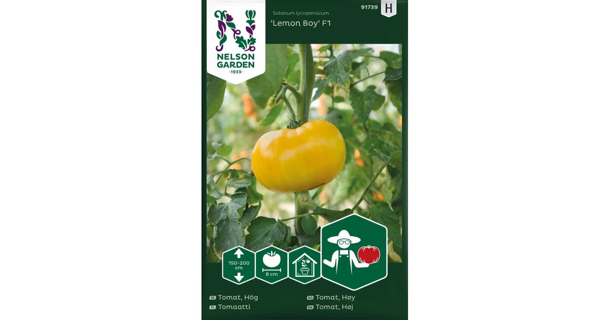Tomat Hög Lemon Boy F1