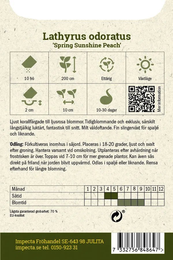 Luktärt 'Spring Sunshine Peach' 10 st