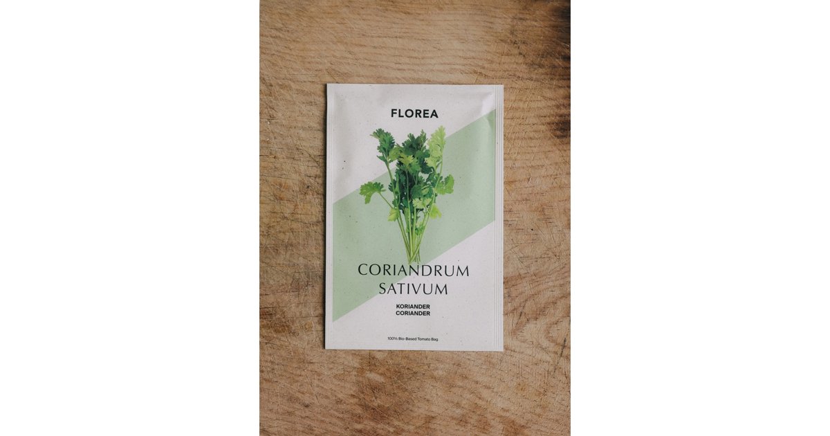 Koriander Coriander