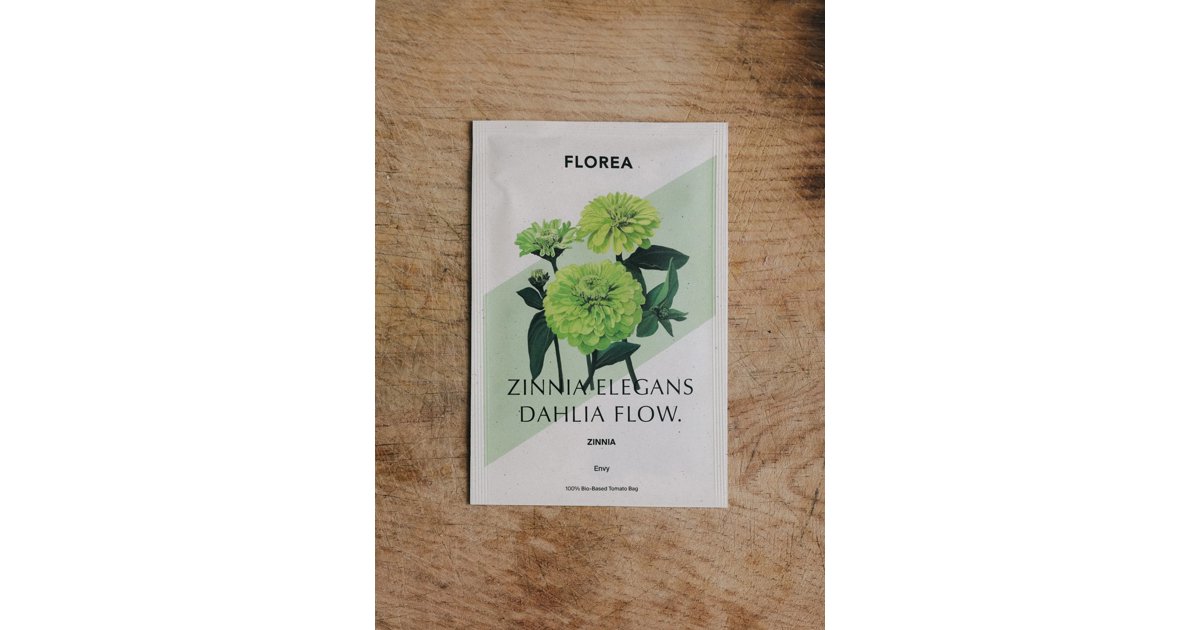 Zinnia Dahl Flow Envy
