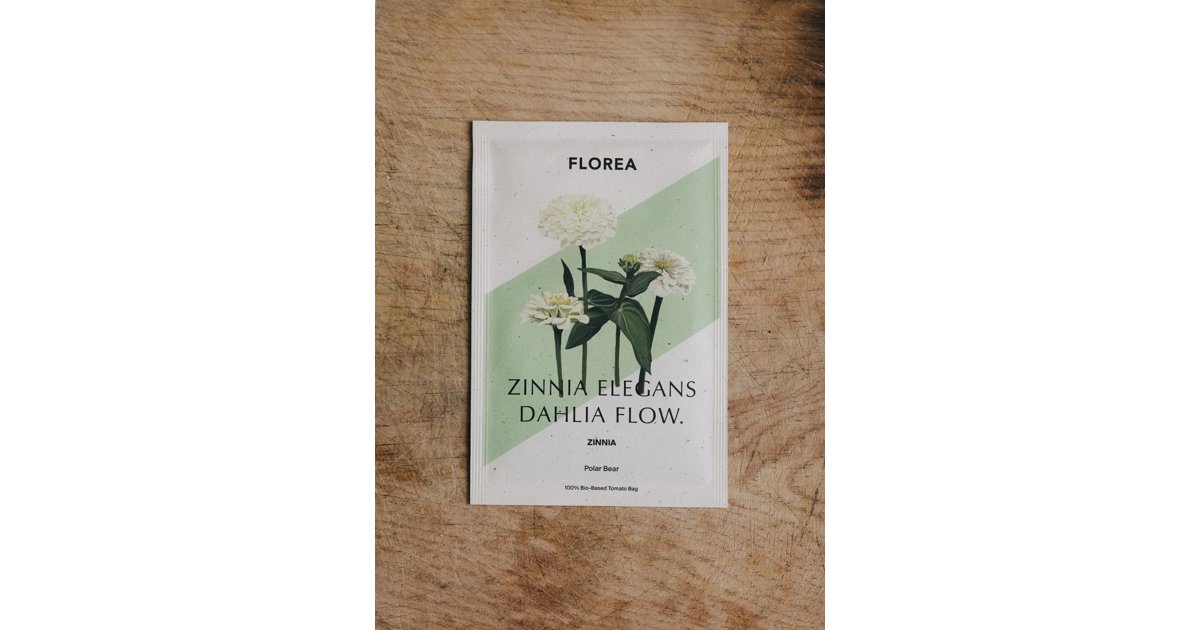 Zinnia Dahl Flow Polar Bear