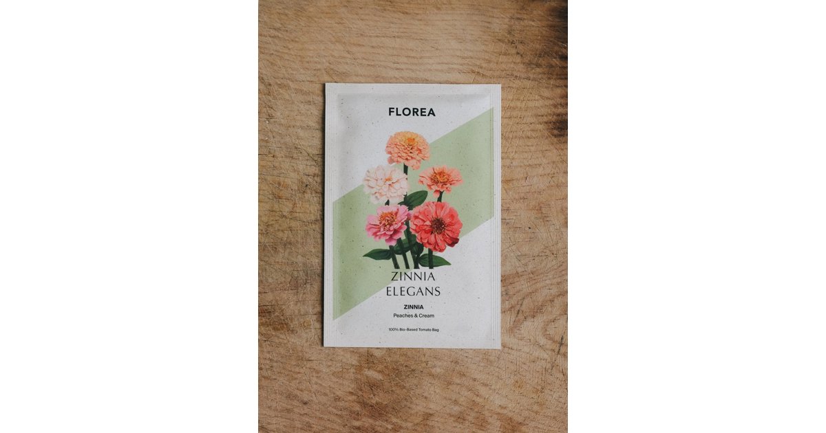 Zinnia Peaches And Cream
