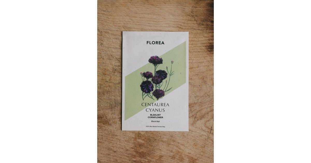 Blåklint Black Ball