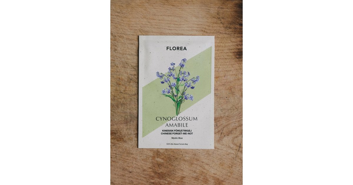 Kinesisk Förgätmigej Mystic Blue
