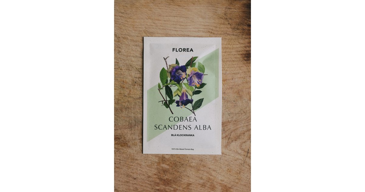 Klockranka Violet Blue