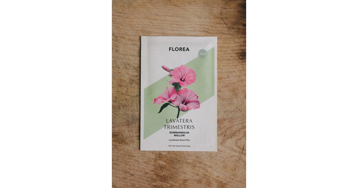 Sommarmalva Loveliness Rose Pink