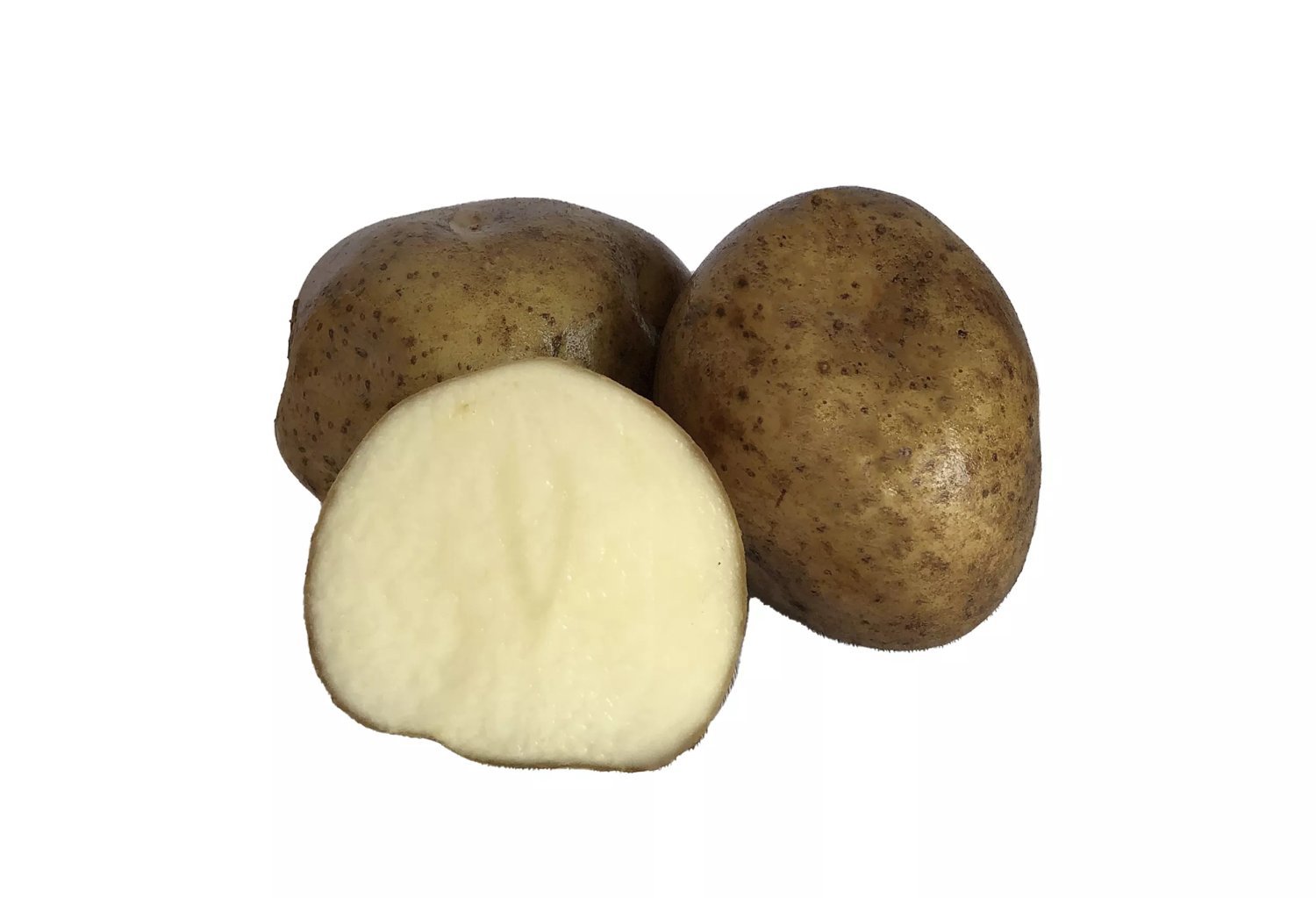 Sättpotatis 'Rocket' 2 kg