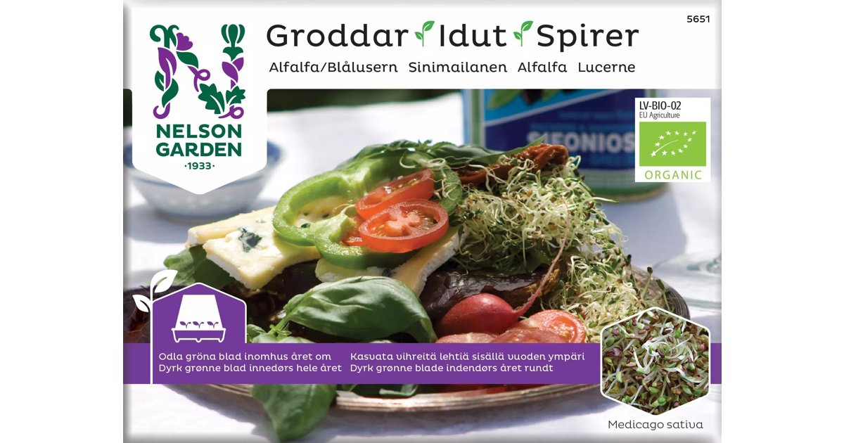 Groddar, Alfalfa