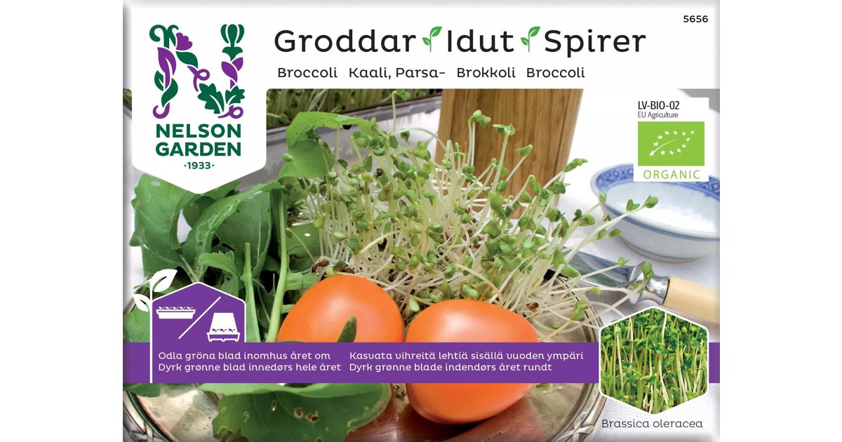 Groddar, Broccoli