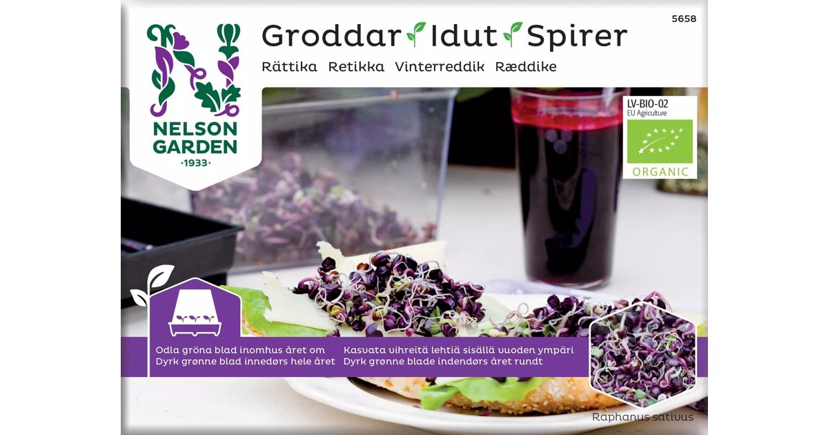 Groddar, Rättika