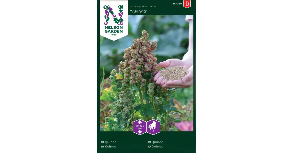 Quinoa Vikinga